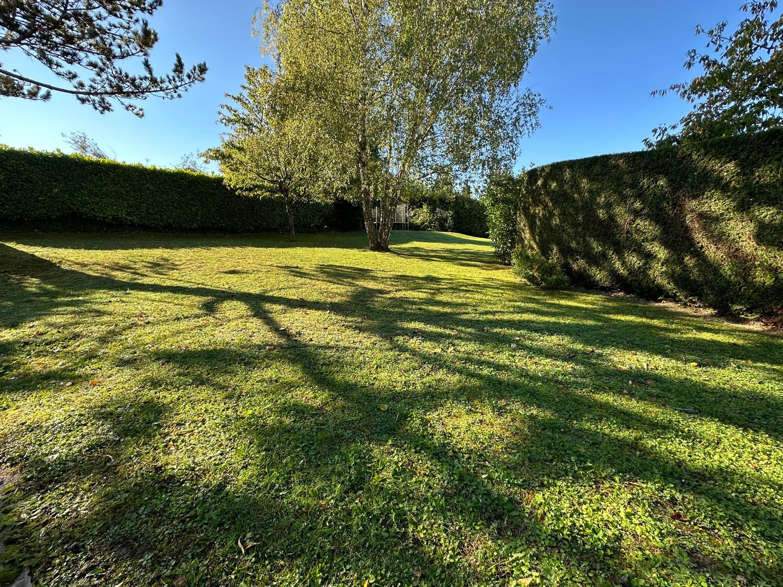 Image_14, Maison, Maule, ref :49407