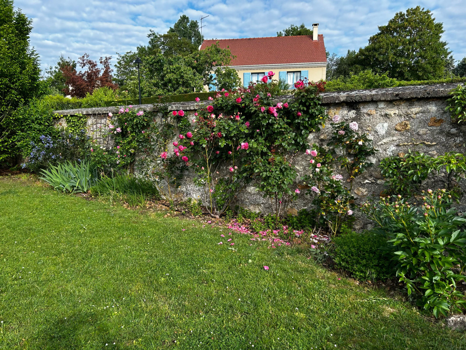 Image_3, Maison, Orgeval, ref :MMVMA710004135