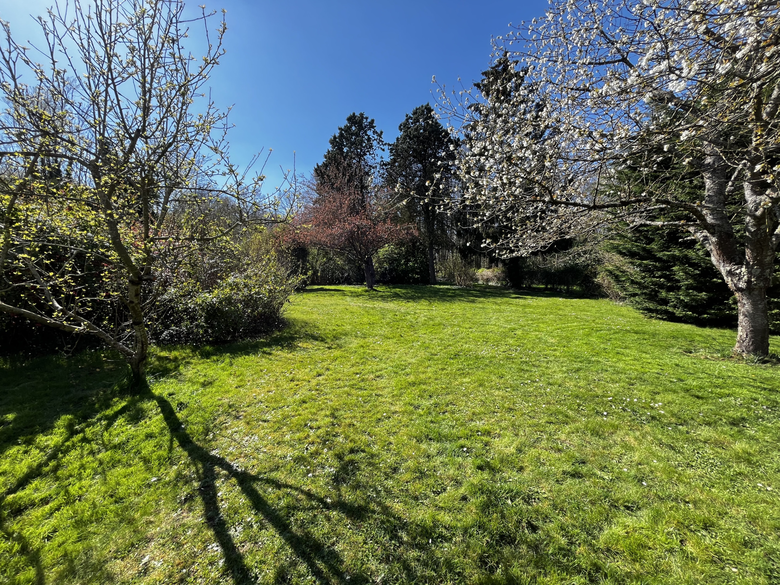 Image_7, Maison, Orgeval, ref :49432