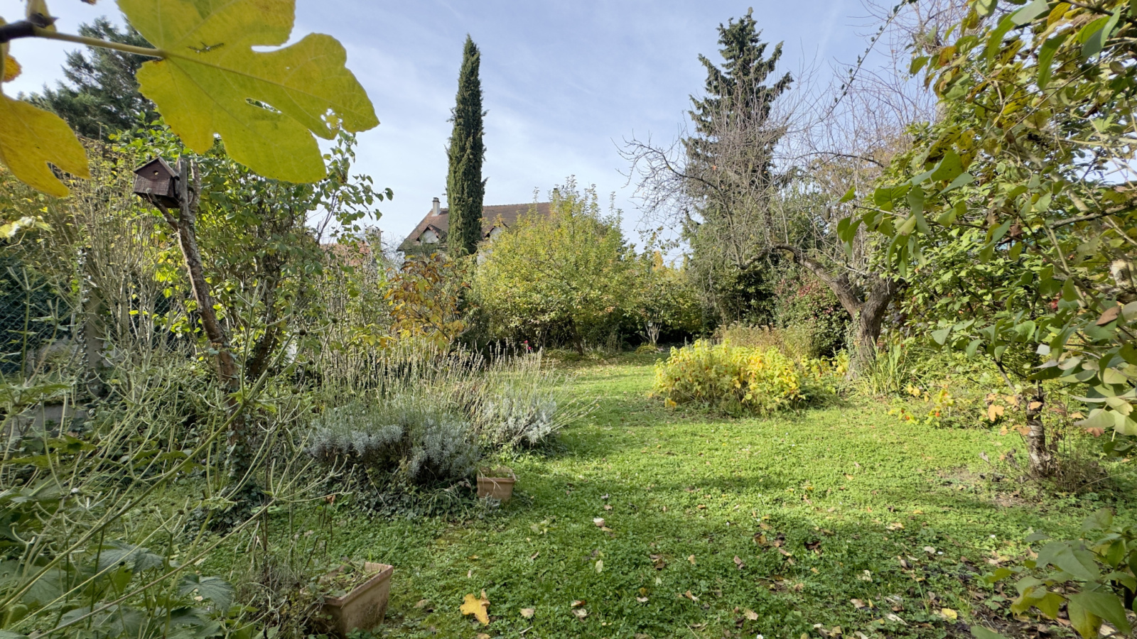 Image_4, Maison, Antony, ref :OVMA10004141